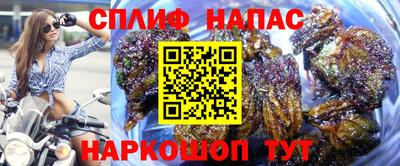 эйфоретик Бердск