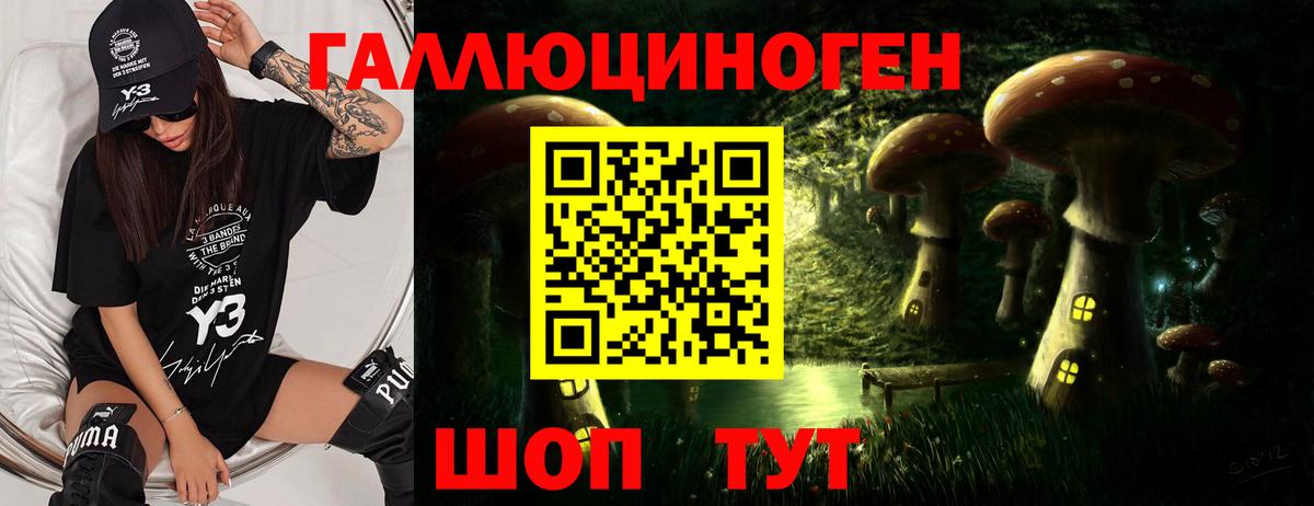 Псилоцибиновые грибы Cubensis  Галлюциногенные грибы Psilocybine cubensis  Амурск  Вход с VPN 